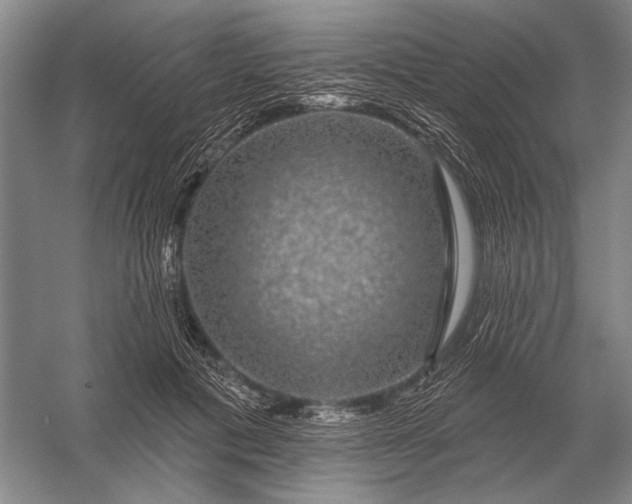 X0000056370601200509161856