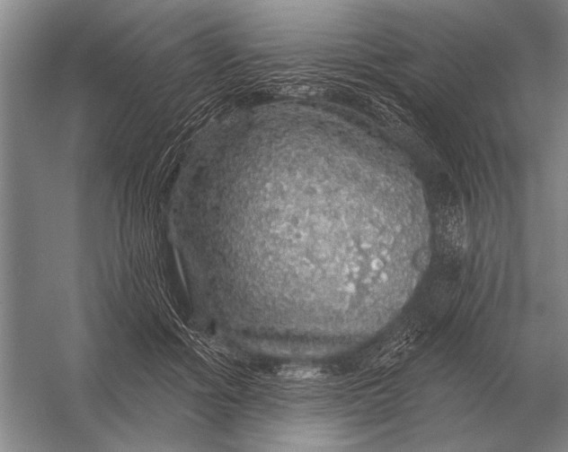 X0000056370602200509161856