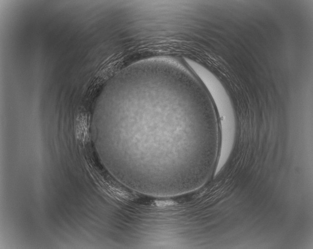 X0000056370605200509161856