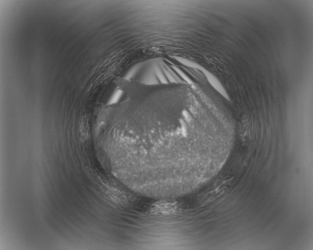 X0000056370606200509161856