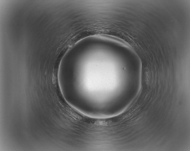 X0000056370613200509161856