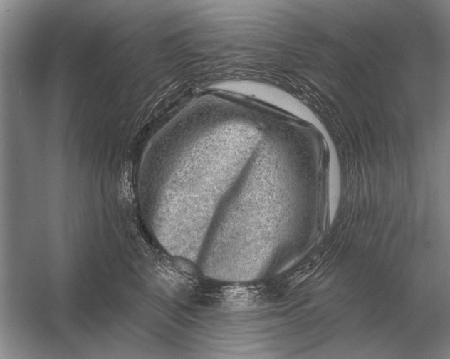 X0000056370616200509161856