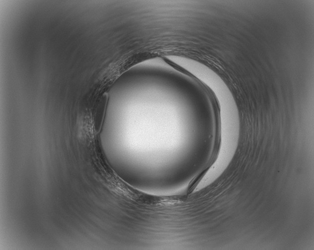 X0000056370617200509161856