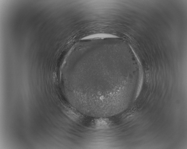 X0000056370618200509161856