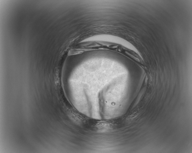 X0000056370620200509161856