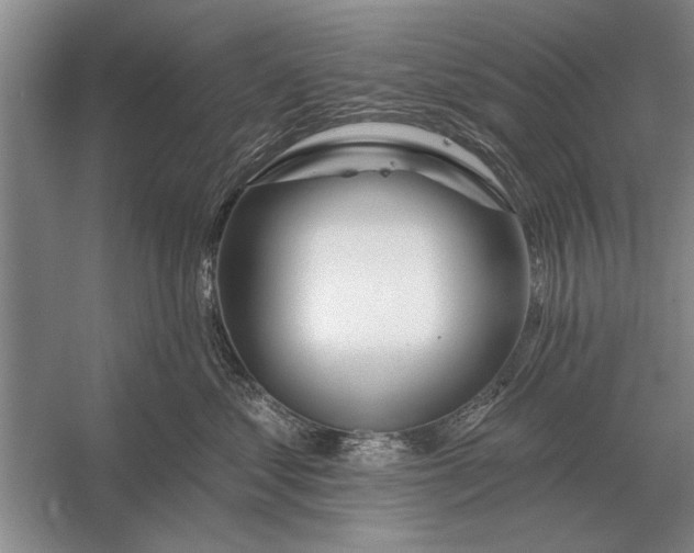 X0000056370621200509161856