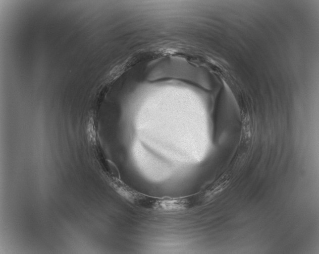 X0000056370622200509161856