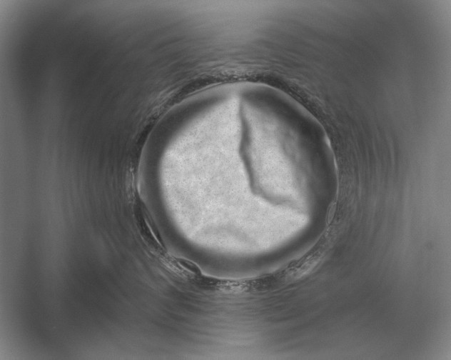 X0000056370624200509161856