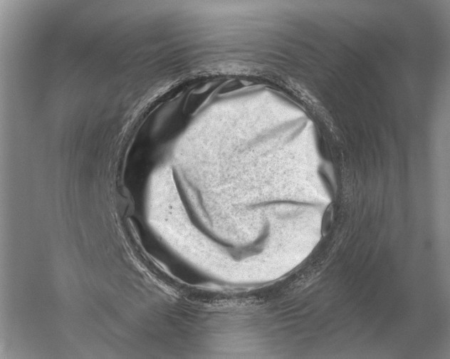 X0000056370625200509161855