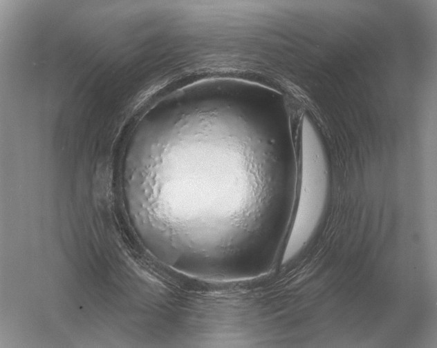 X0000056370627200509161855