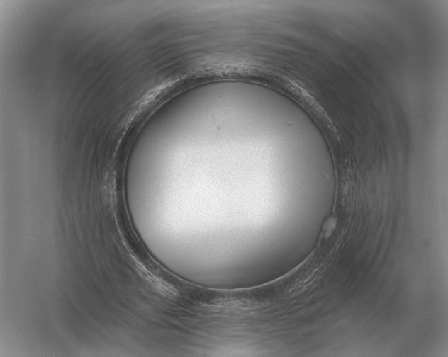 X0000056370629200509161855