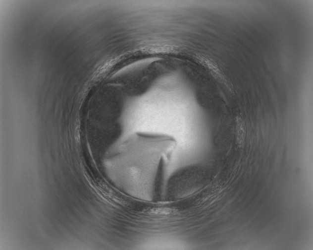 X0000056370631200509161855