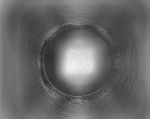 X0000056370635200509161855