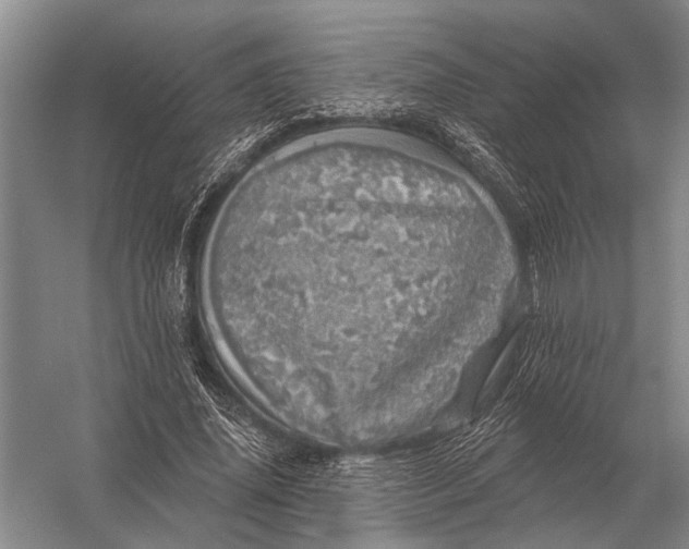 X0000056370636200509161855