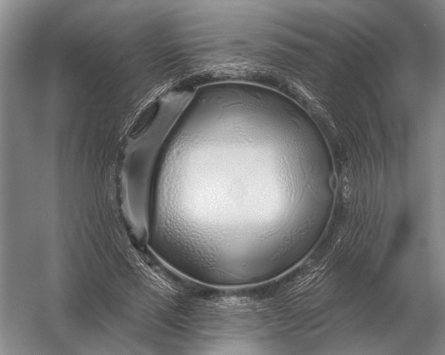 X0000056370637200509161855