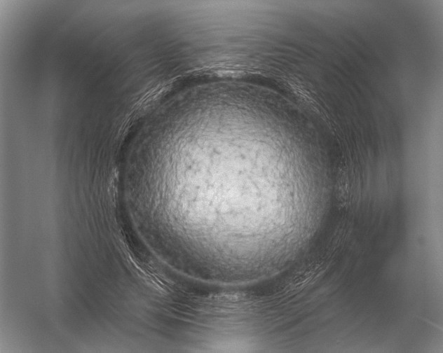 X0000056370639200509161855