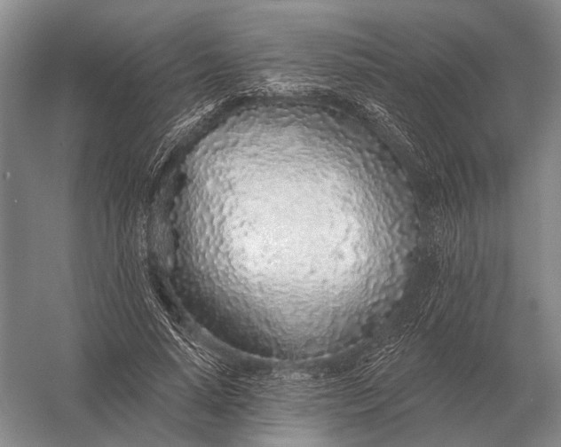 X0000056370640200509161855