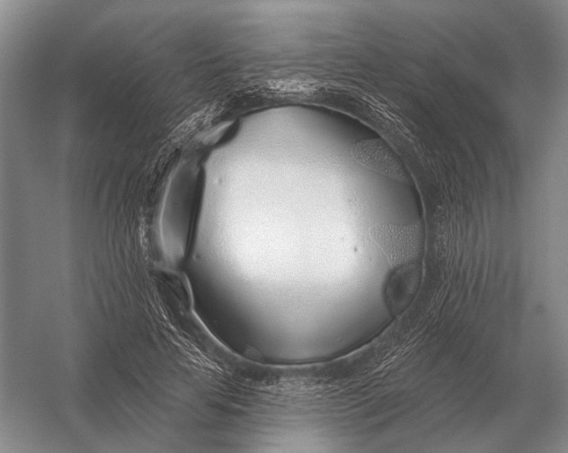 X0000056370641200509161855