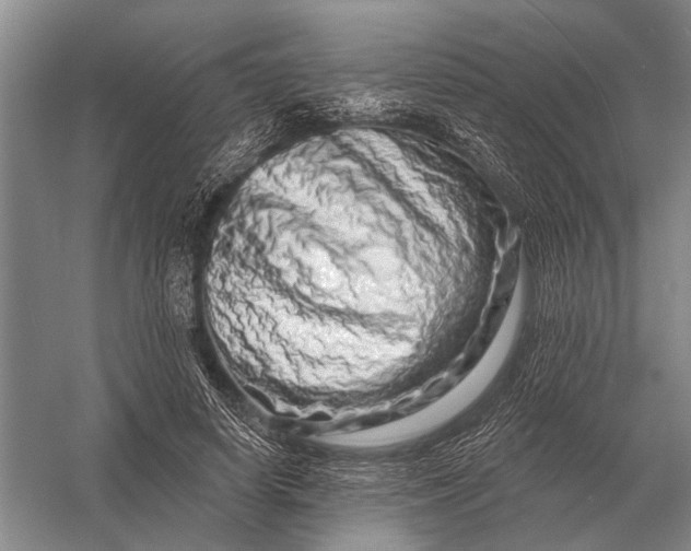 X0000056370642200509161855