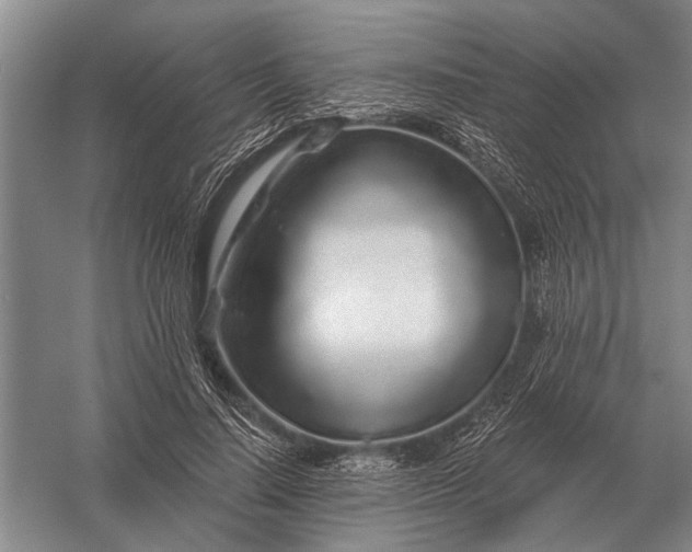 X0000056370644200509161855