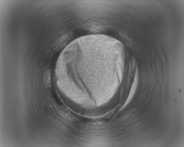 X0000056370646200509161855