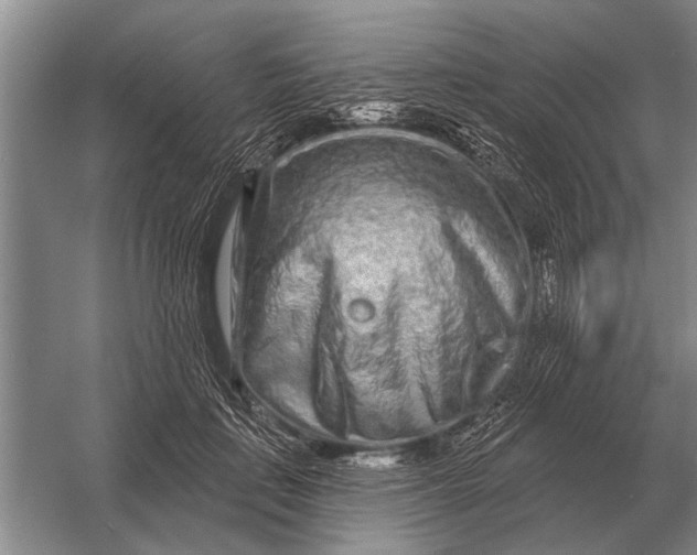 X0000056370651200509161855