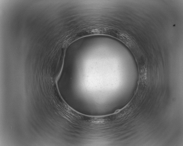 X0000056370653200509161855