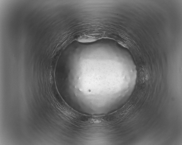 X0000056370654200509161855