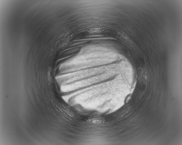 X0000056370655200509161855