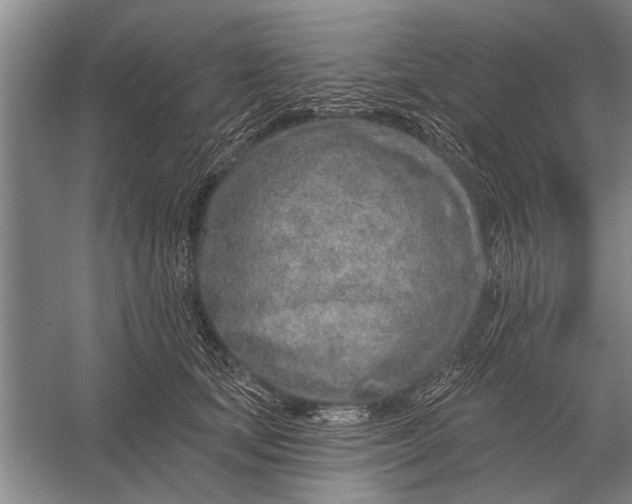 X0000056370659200509161856