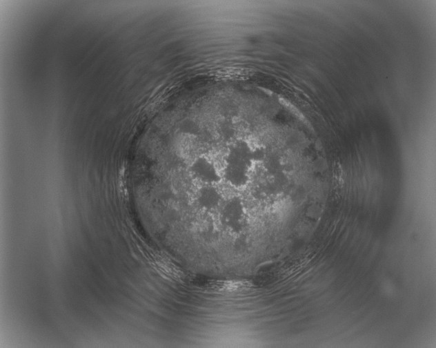 X0000056370663200509161856