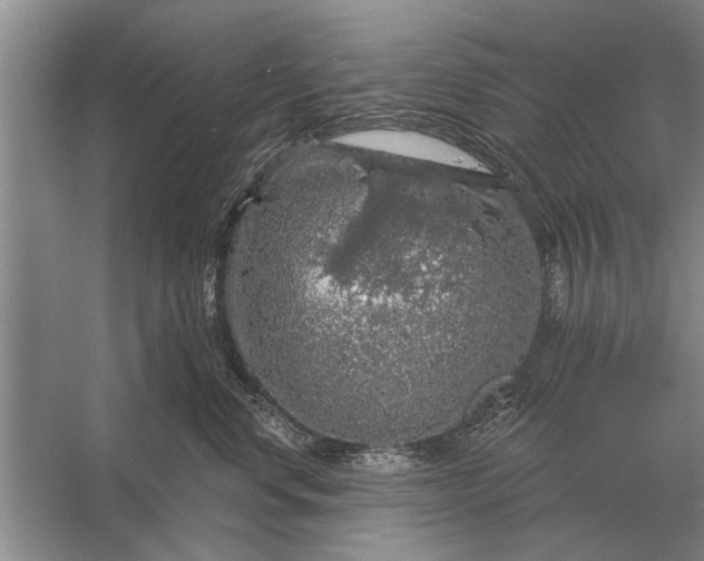 X0000056370668200509161856