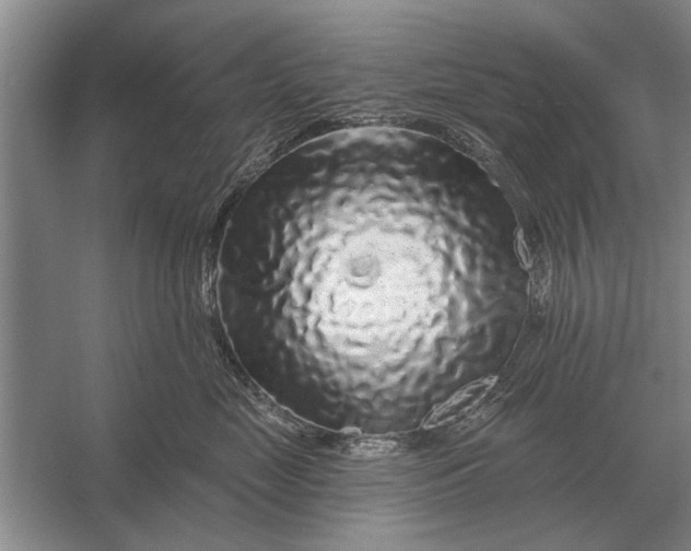 X0000056370669200509161856