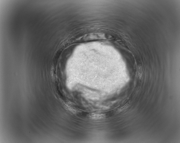 X0000056370670200509161856