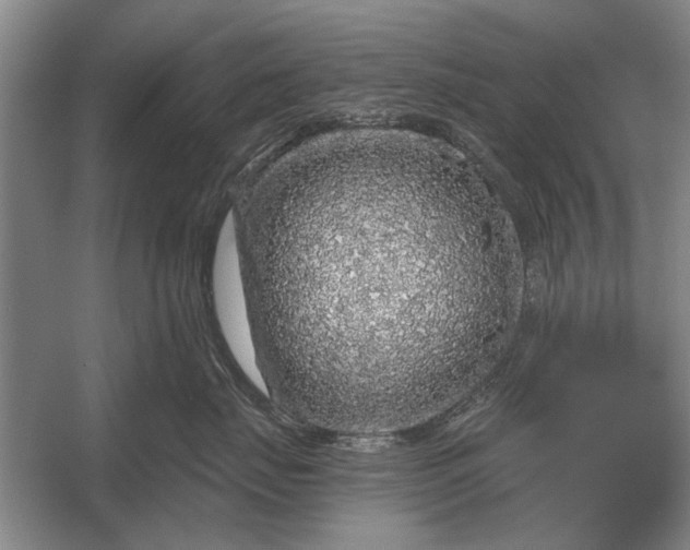 X0000056370671200509161856