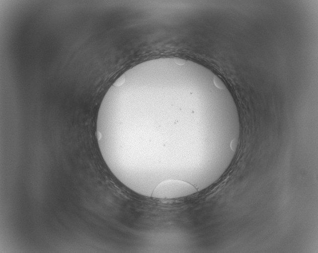 X0000056370672200509161856