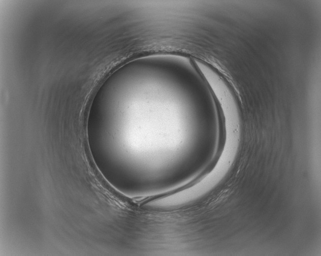 X0000056370673200509161855