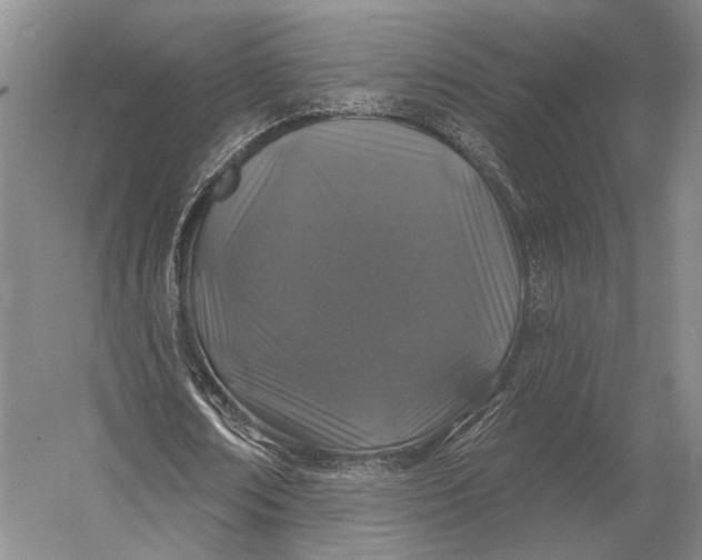 X0000056370674200509161855