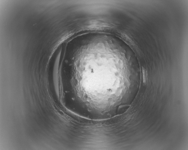 X0000056370675200509161855