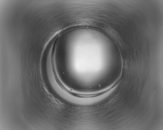 X0000056370676200509161855