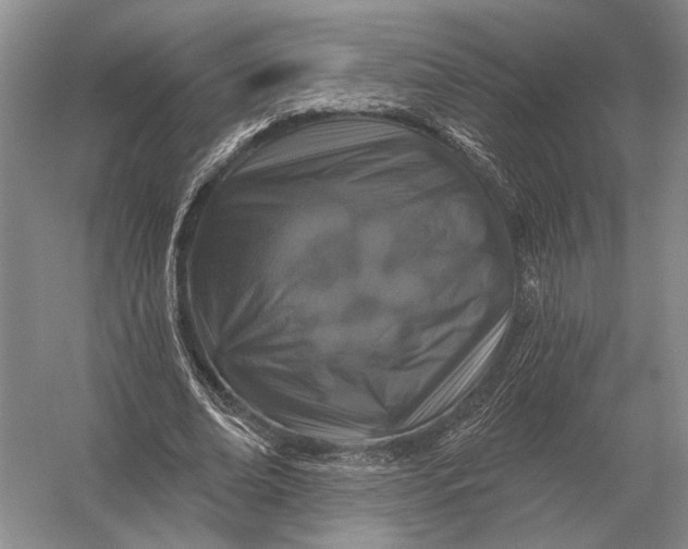 X0000056370678200509161855