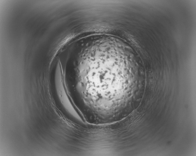 X0000056370679200509161855