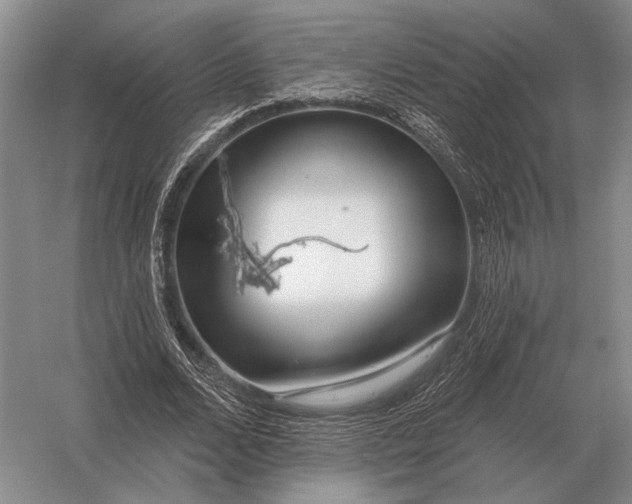 X0000056370680200509161855