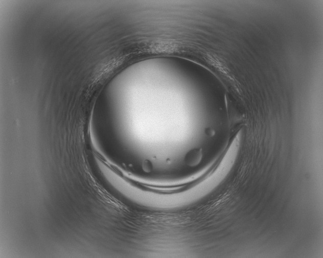 X0000056370681200509161855