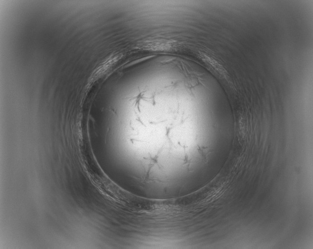 X0000056370682200509161855