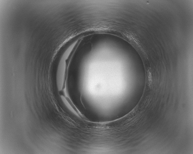 X0000056370684200509161855