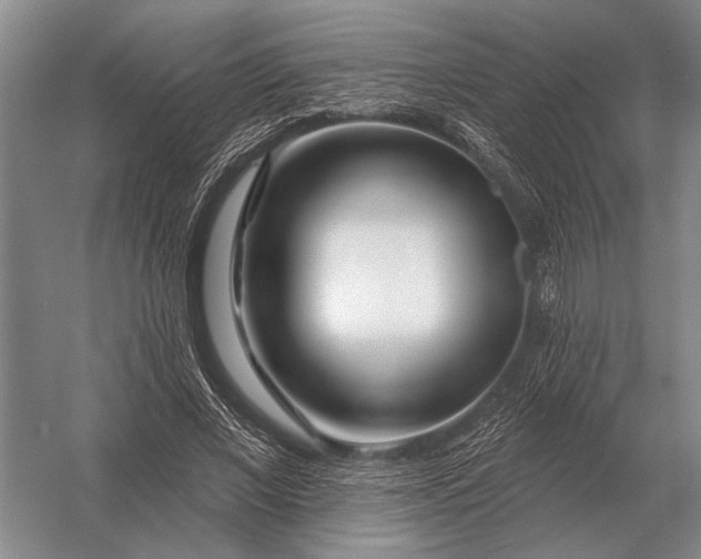 X0000056370685200509161855