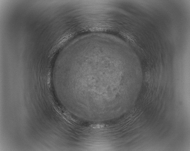 X0000056370687200509161855