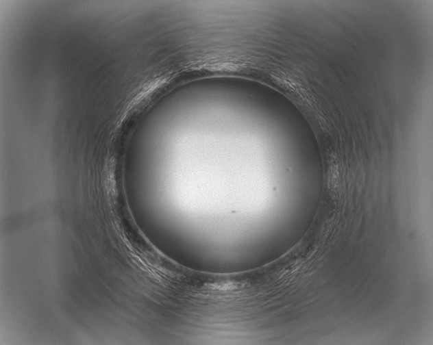 X0000056370688200509161855