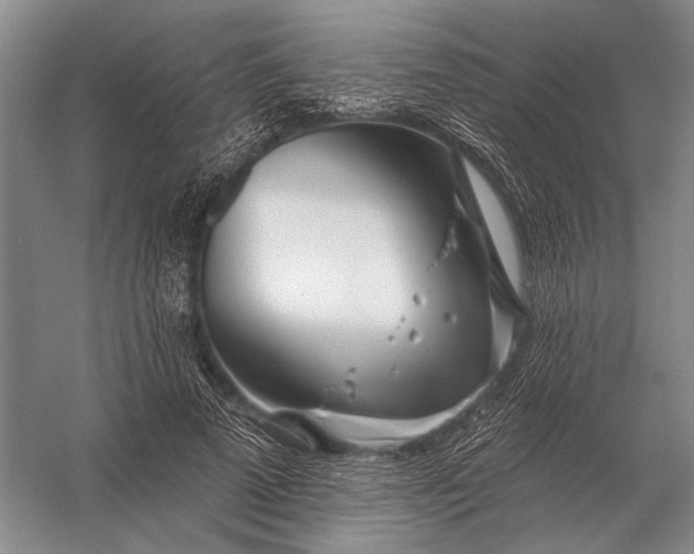 X0000056370689200509161855